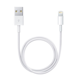 Apple Lightning to USB Cable (0.5m)