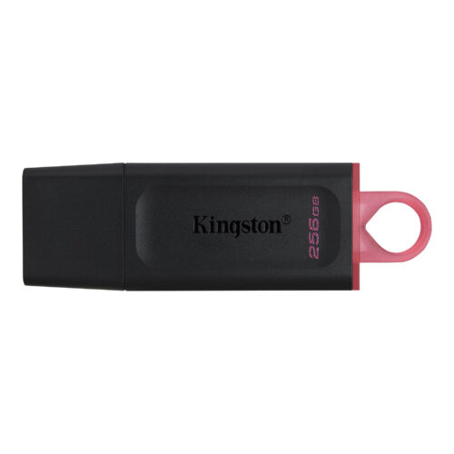 Kingston Technology DataTraveler Exodia 256GB